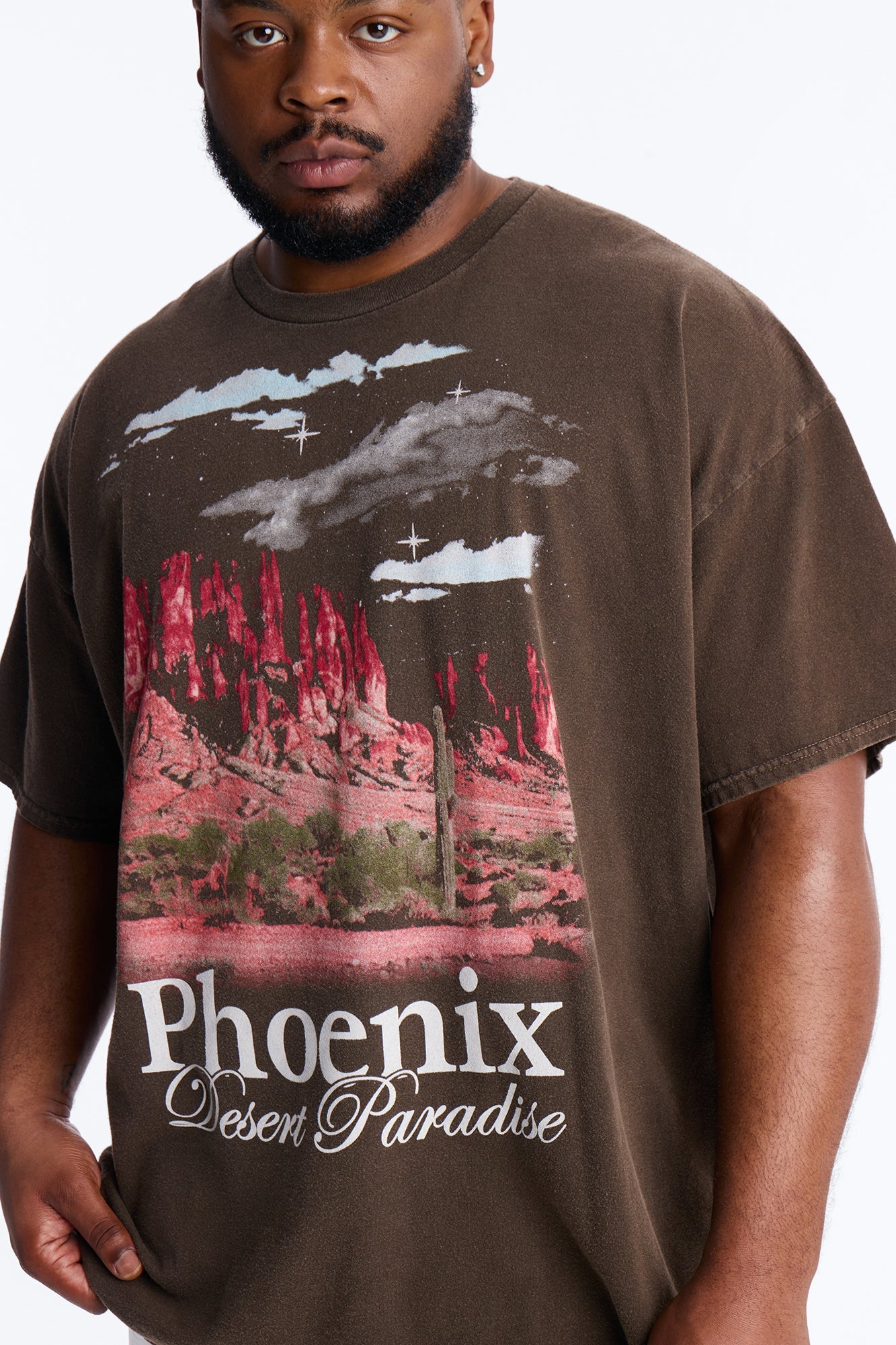 Phoenix Desert Paradise Oversized Short Sleeve Tee - Chocolate Fashion Nova