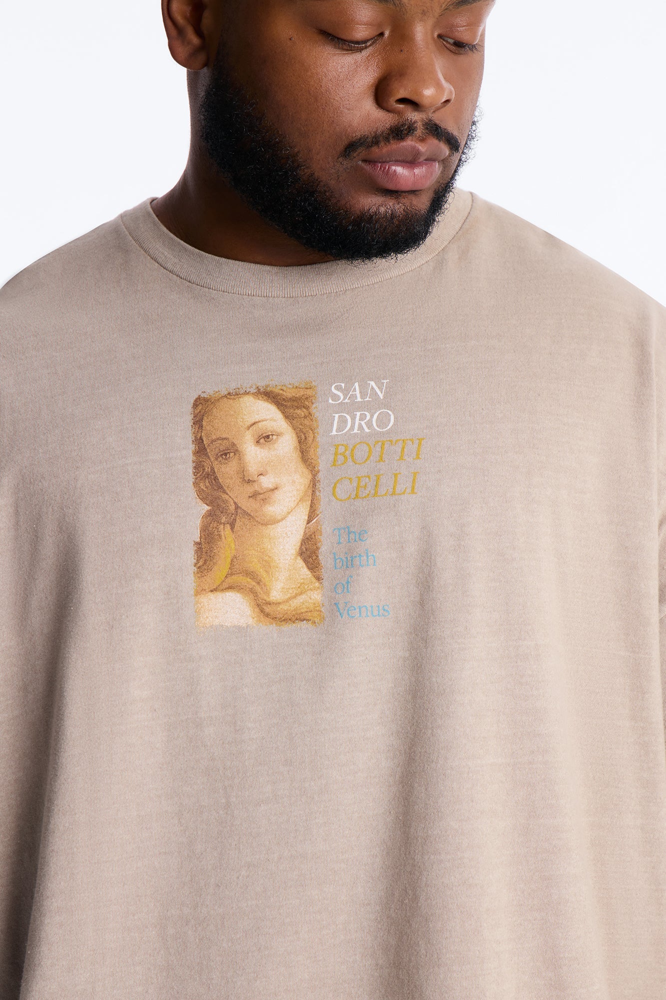 Birth Of Venus Botticelli Short Sleeve Tee - Taupe Fashion Nova