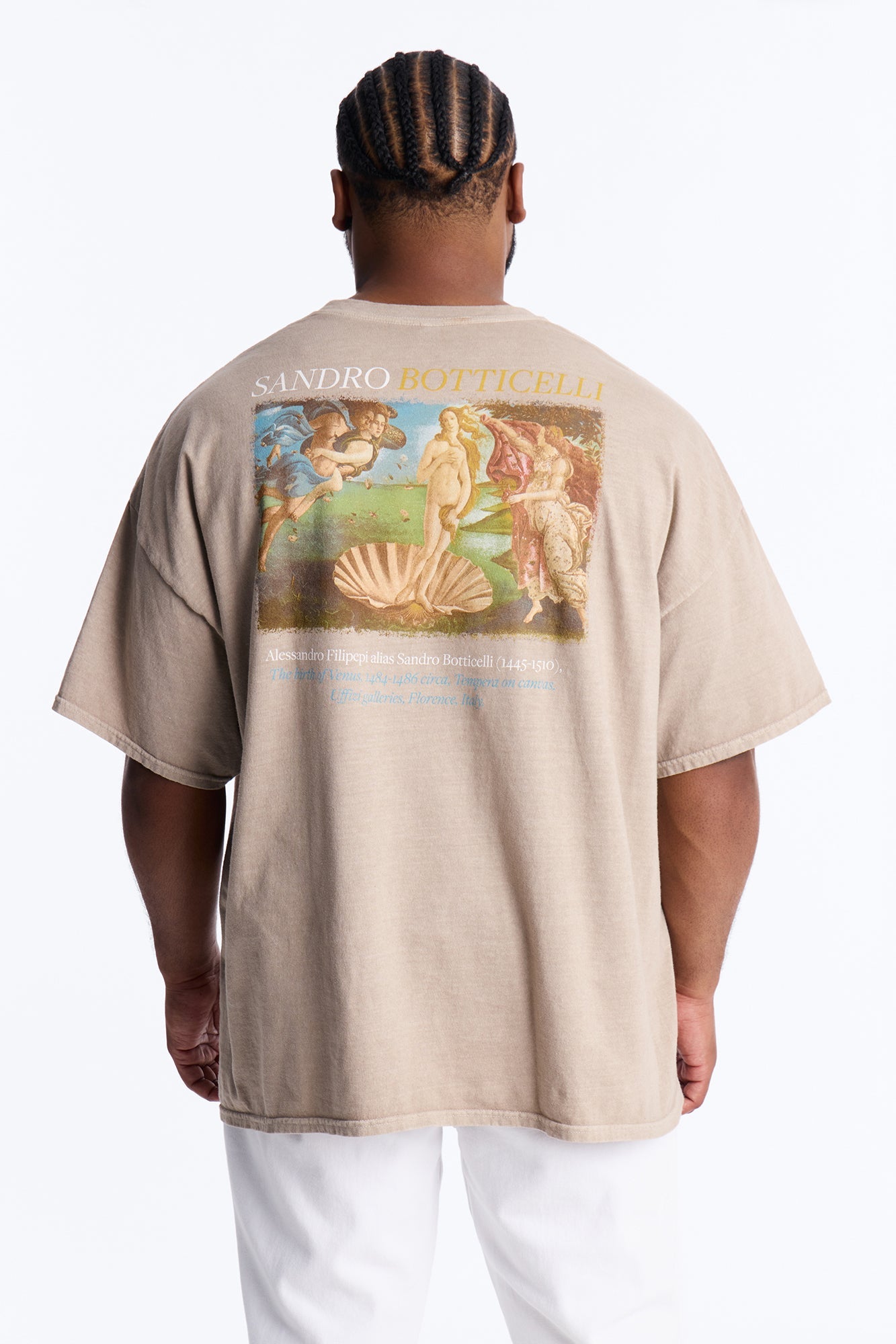 Birth Of Venus Botticelli Short Sleeve Tee - Taupe Fashion Nova