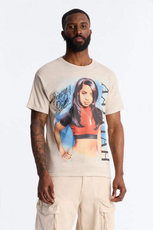 Aaliyah Princess Of R&B Short Sleeve Tee - Taupe Fashion Nova