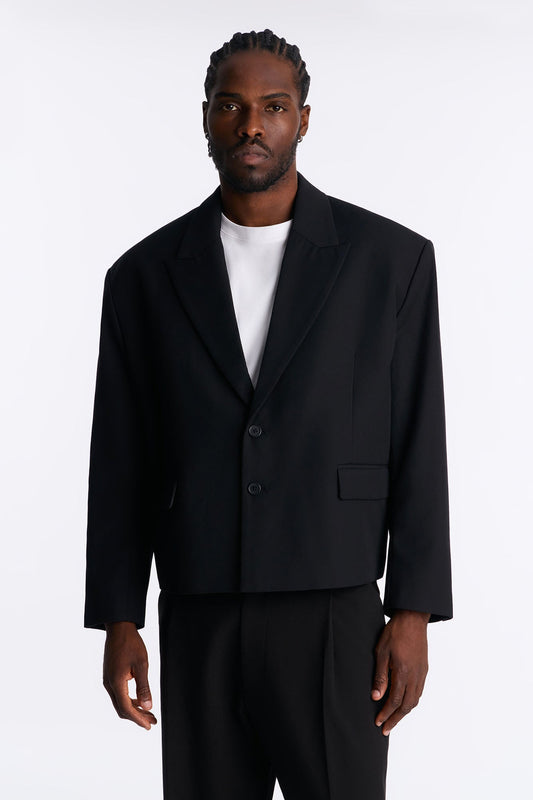 Cropped Peak Lapel Single Breasted Blazer - Black Fashion Nova