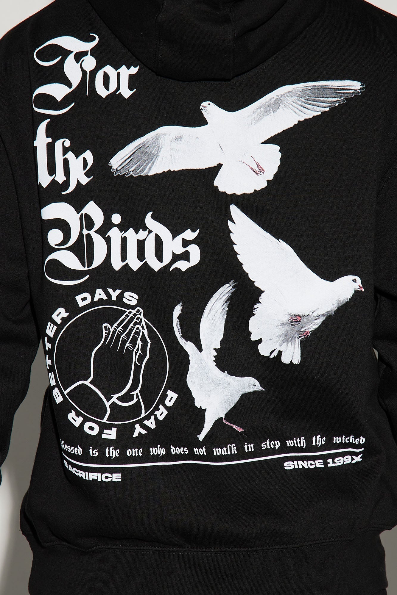 For The Birds Hoodie - Black Fashion Nova